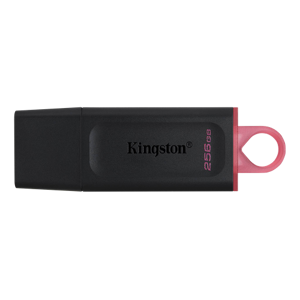 Kingston Usb 3.2 Gen 1 Exodia 256 Gb - Pink