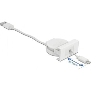 Delock Easy 45 Usb Port Modul - Retractable - 1 X Lightning