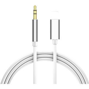 Apple Lightning Til 3.5mm Minijack Kabel - 1 M - Sølv