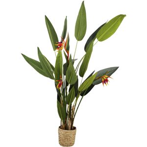 Maisons du Monde Strelitzia artificial con maceta trenzada Alt.180