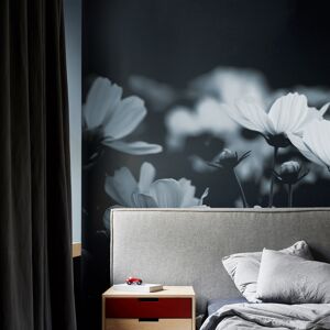 Acte Deco Papel pintado panoramic cosmos flowers azul 170x250cm