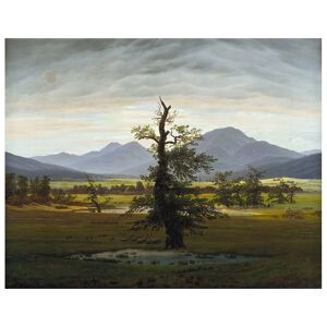 Legendarte El Árbol Solitario - Caspar David Friedrich - cm. 80x100