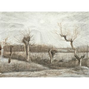 Legendarte Cuadro lienzo - Tetards (Pollards) - Vincent Van Gogh - cm. 60x80