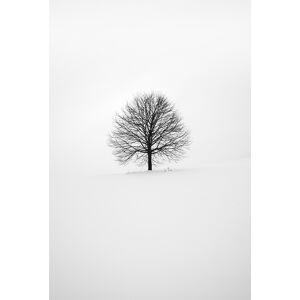 Legendarte Cuadro lienzo - Invierno blanco - 60x90cm