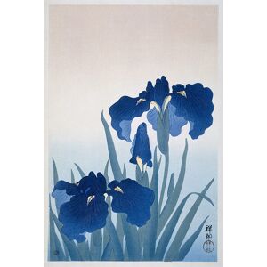 Legendarte Cuadro lienzo - Iris - Ohara Koson - Decoración Pared cm. 60x90