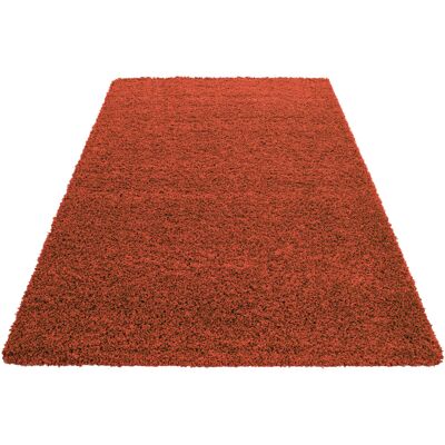 Nazar Alfombra de interior de pelo largo terracota-120x170 Nazar Alfombra de interior de pelo largo terracota-120x170