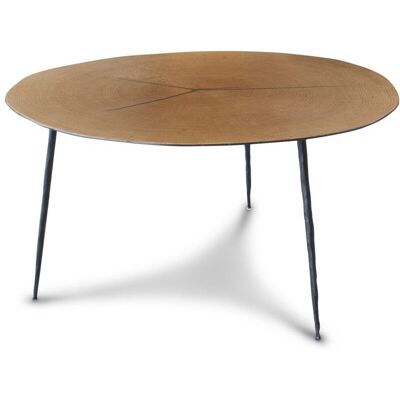 PIB Mesa de centro de metal y madera de color marron PIB Mesa de centro de metal y madera de color marron