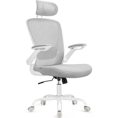 SONGMICS Silla de escritorio ergonómica inclinable de malla gris SONGMICS Silla de escritorio ergonómica inclinable de malla gris