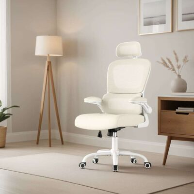 SONGMICS Silla de oficina ergonómica de malla de color beige SONGMICS Silla de oficina ergonómica de malla de color beige
