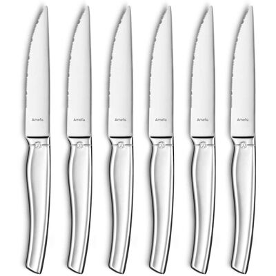 Amefa Estuche de 6 cuchillos carne acero Amefa Estuche de 6 cuchillos carne acero