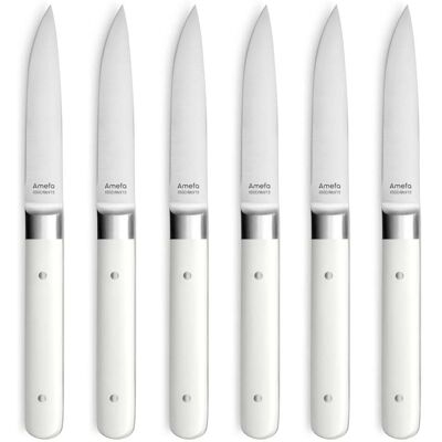 Amefa Estuche de 6 cuchillos carne acero inoxidable blanco Amefa Estuche de 6 cuchillos carne acero inoxidable blanco