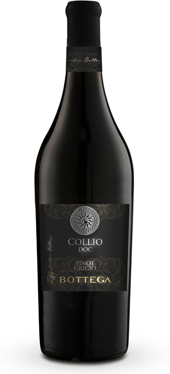 Bottega Collio Pinot Grigio 2016 Bottega Collio Pinot Grigio 2016