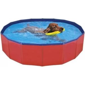 COMPLEMENTOS Piscina Para Perros 120 X 30 Cm