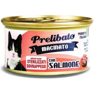 Prelibato Gato Sterilized Salmón Lata 12 X 85 Gr