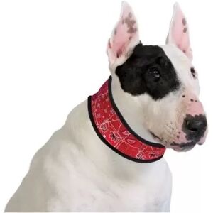 COMPLEMENTOS Collar Refrigerante Para Perros M - Rojo Dibujos