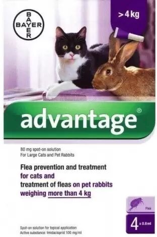 ECUPHAR Advantage 80 Gatos 4 Pipetas (+ 4 Kg)