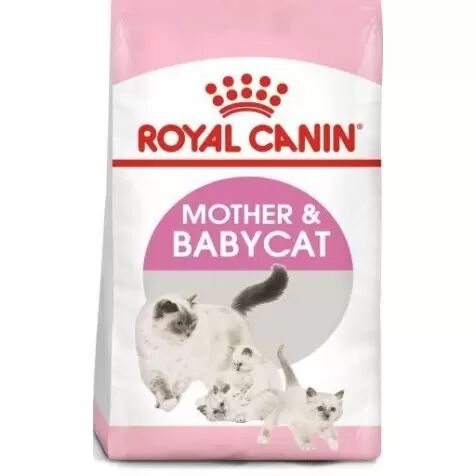Royal Canin Gato Mother & Babycat 4 Kg