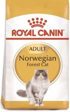 Royal Canin Gato Norwegian Forest 2 Kg