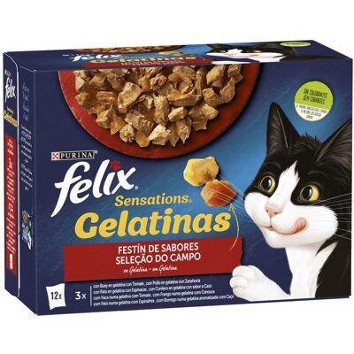 Felix - Gelatina Sensations - Comida Húmeda para Gatos con Carne, Pollo, Pato y Cordero - 24x85g Felix - Gelatina Sensations - Comida Húmeda para Gatos con Carne, Pollo, Pato y Cordero - 24x85g