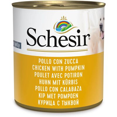 Schesir Pollo Calabaza Comida para Perros - Comida para Perros Schesir Pollo Calabaza Comida para Perros - Comida para Perros