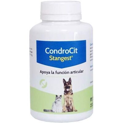 Stanvet Stangest Condrocit - Suplemento para Perros y Gatos - 60 Comprimidos Stanvet Stangest Condrocit - Suplemento para Perros y Gatos - 60 Comprimidos