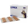 VETPLUS Lypex Blister 60 Cápsulas