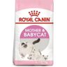 Royal Canin Gato Mother & Babycat 4 Kg