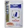 Royal Canin Gato Renal Pollo Sobres 12 Ud X 85 Gr