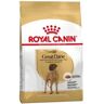 Royal Canin Adulto Gran Danés 12 Kg