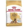 Royal Canin Pastor Alemán Adult +5 12 Kg