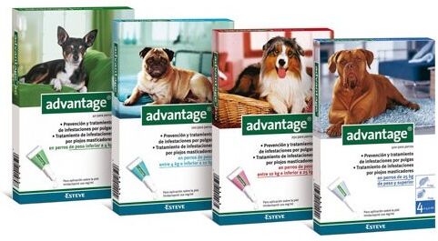 Esteve Advantage 250 Perros 4 Pipetas (10-25 Kg) Esteve Advantage 250 Perros 4 Pipetas (10-25 Kg)