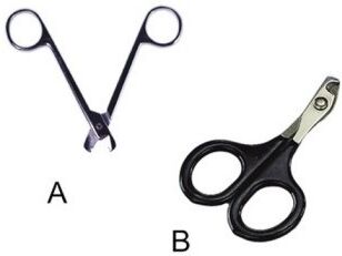 Complementos Cortauñas Para Aves. Color Negro Complementos Cortauñas Para Aves. Color Negro