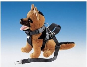 Complementos Arnes Y Correa De Seguridad Talla M Complementos Arnes Y Correa De Seguridad Talla M