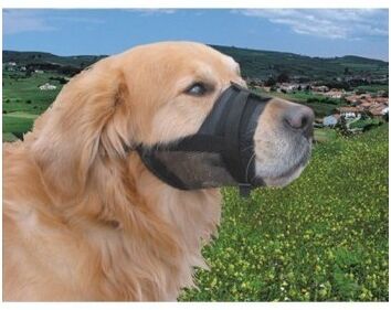 Complementos Bozal De Nylon Ajustable Talla L Complementos Bozal De Nylon Ajustable Talla L