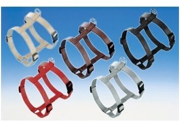 Complementos Arnés Clásico De Naylon 20 Mm 50-70 Cm Rojo Complementos Arnés Clásico De Naylon 20 Mm 50-70 Cm Rojo