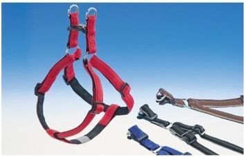 Complementos Arnés De Naylon, Agarre Suave. 10 Mm 30-40 Cm Color Rojo Complementos Arnés De Naylon, Agarre Suave. 10 Mm 30-40 Cm Color Rojo