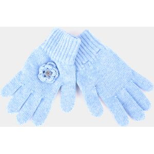 Lion of Porches Guantes Azul Medio