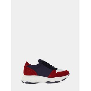 Lion of Porches Zapatilla tricolor Navy