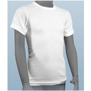 Camiseta 371M/Corta Frajimu 16 Blanco