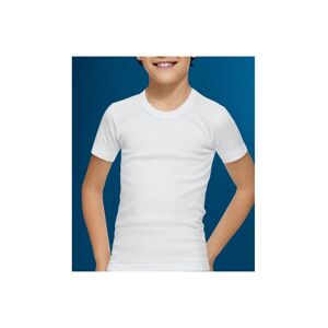 Camiseta 252 Abanderado 8 Blanco