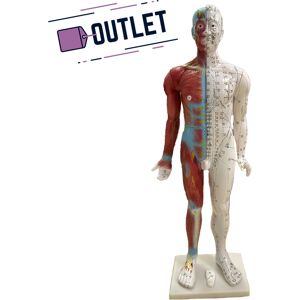 Modelo anatómico de cuerpo humano masculino 85 cm - OUTLET