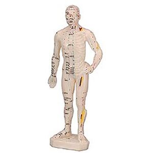 Cuerpo Humano Masculino (Caucho 26 cm)