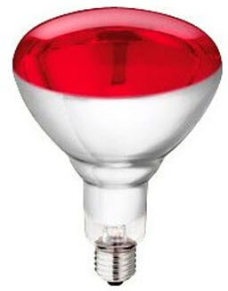 Bombilla Infrarrojos Philips 250w