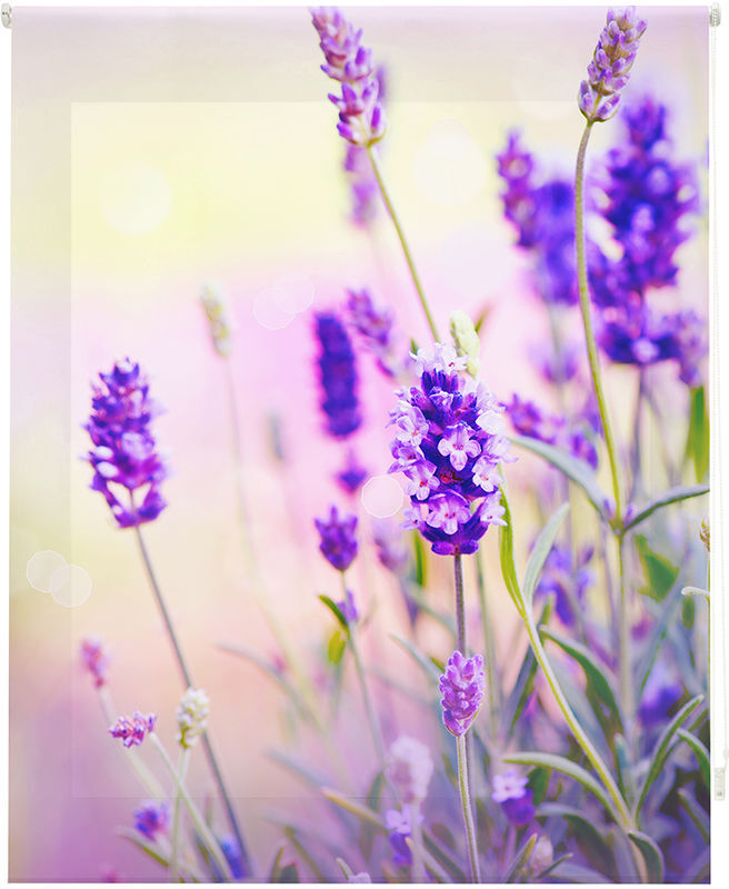 HAPPYSTOR Estor Enrollable Happystor Estampado Digital Paisajes HSP93002 105x180 HAPPYSTOR Estor Enrollable Happystor Estampado Digital Paisajes HSP93002 105x180