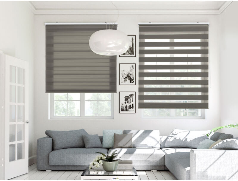 BLINDECOR Estor Noche y Dia traslucido antracita - 180x250 cm (ancho x alto) BLINDECOR Estor Noche y Dia traslucido antracita - 180x250 cm (ancho x alto)