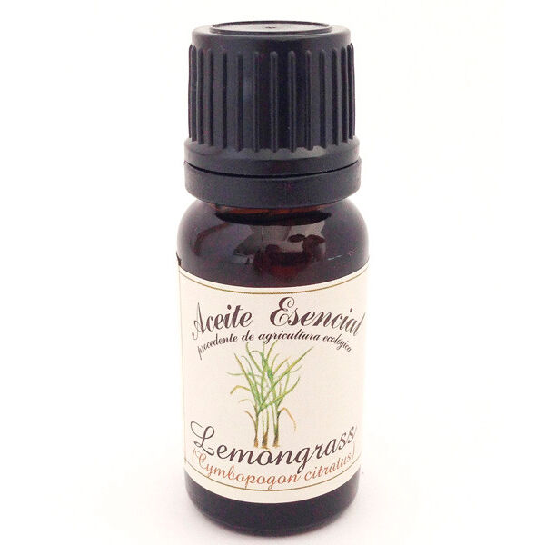 Labiatae Aceite Esencial Ecológico de Lemongrass