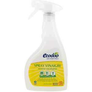 Ecodoo Vinagre blanco de alcohol Senteur Eucalyptus en Spray