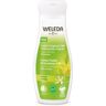 Weleda Leche Corporal 24 horas Hidratación Exprés con Citrus