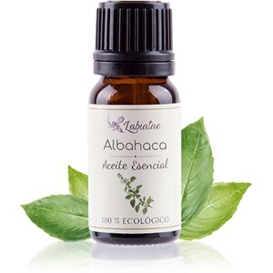 Labiatae Aceite Esencial Ecológico de Albahaca