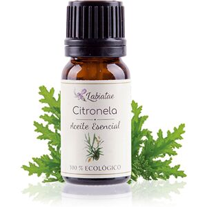 Labiatae Aceite Esencial Ecológico de Citronela